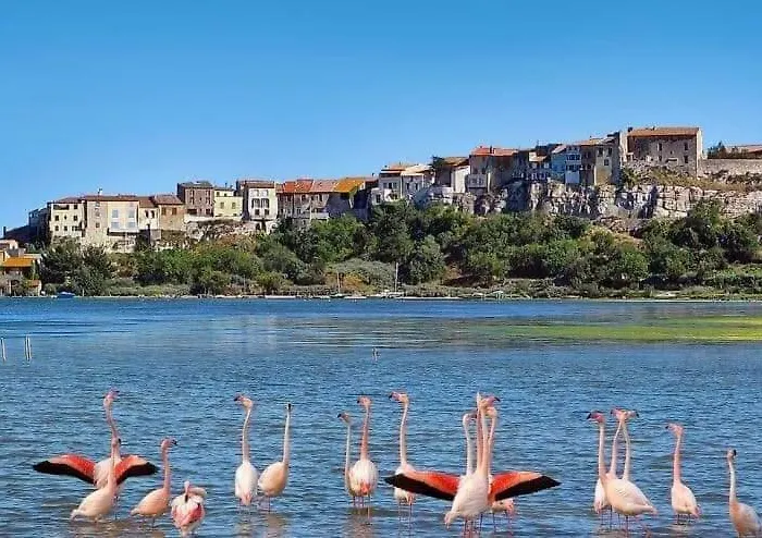 Sur La Terrasse شقة *